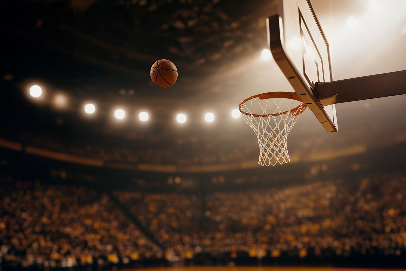 20250203_ym_blog_photo_raising_stars_v.1